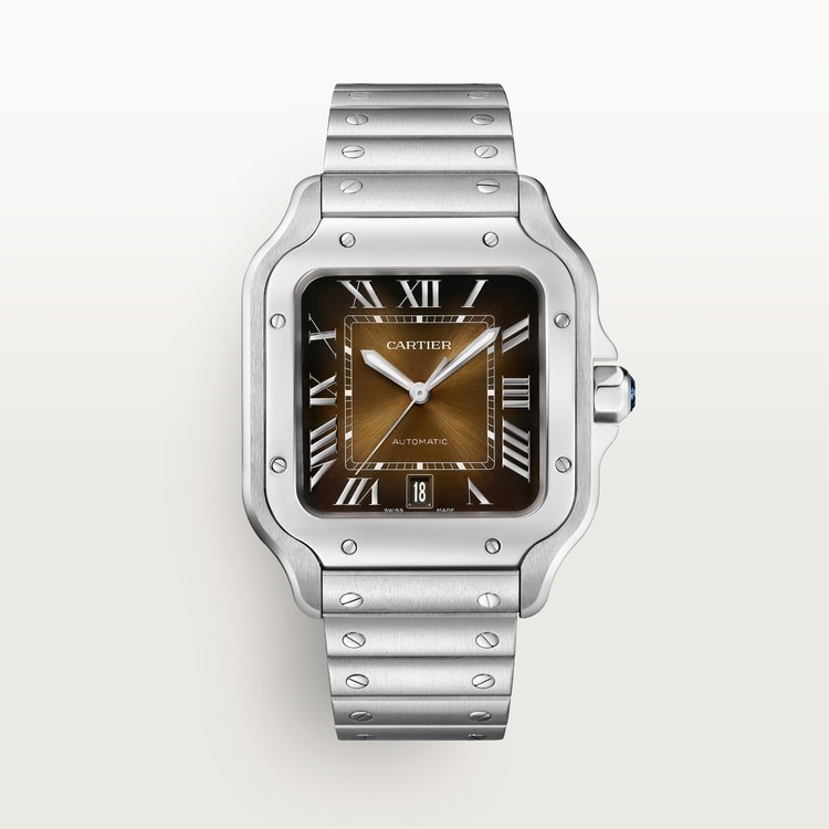 Cartier WSSA0064, vista frontale