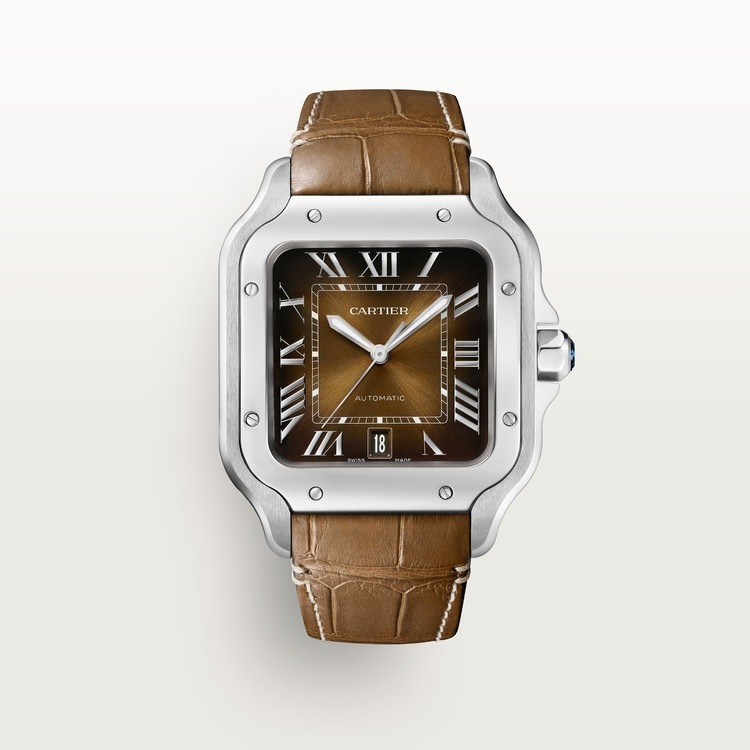 Cartier Santos de Cartier WSSA0064, vista a tre quarti con bracciale in acciaio