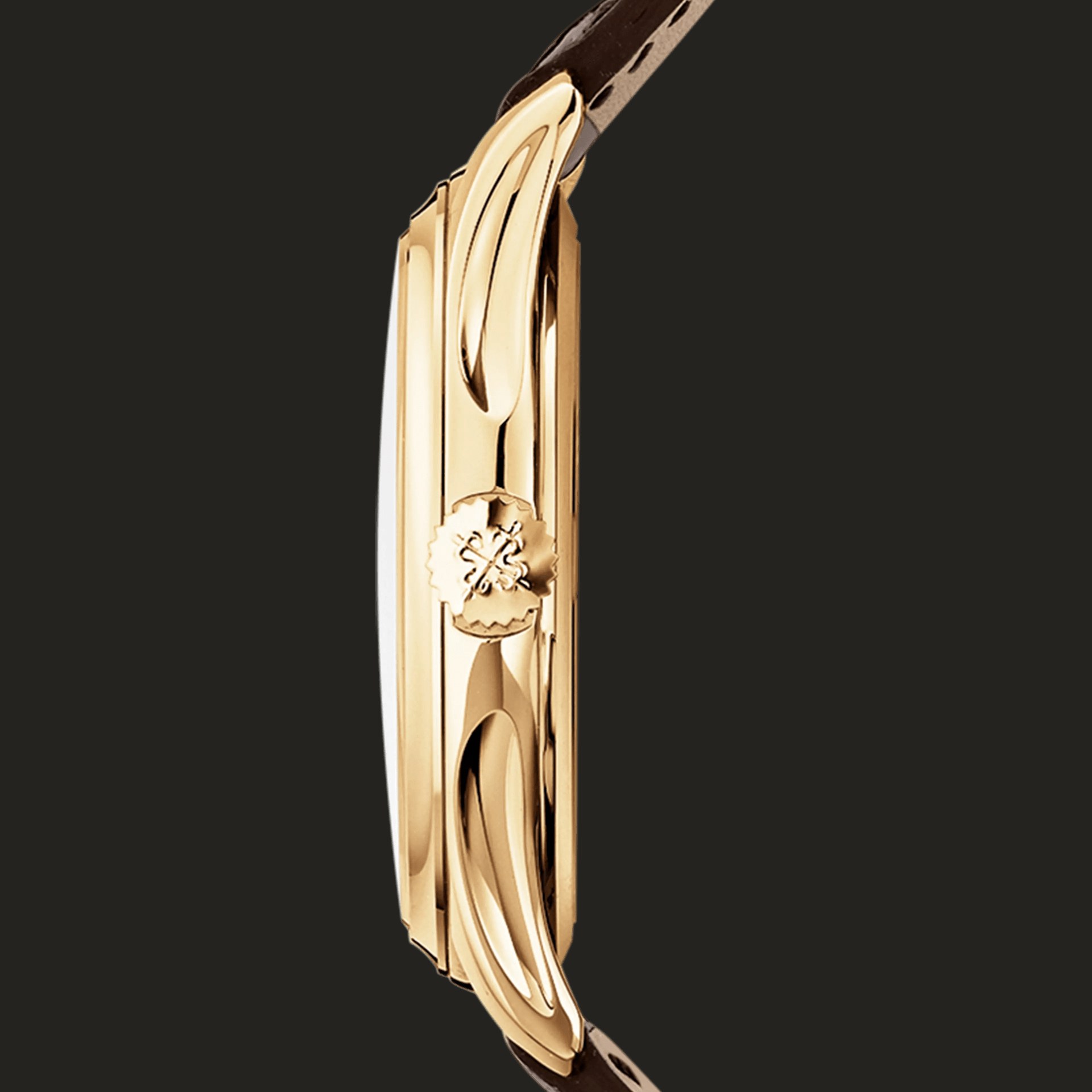 Patek Philippe 5227J-001: profilo laterale.