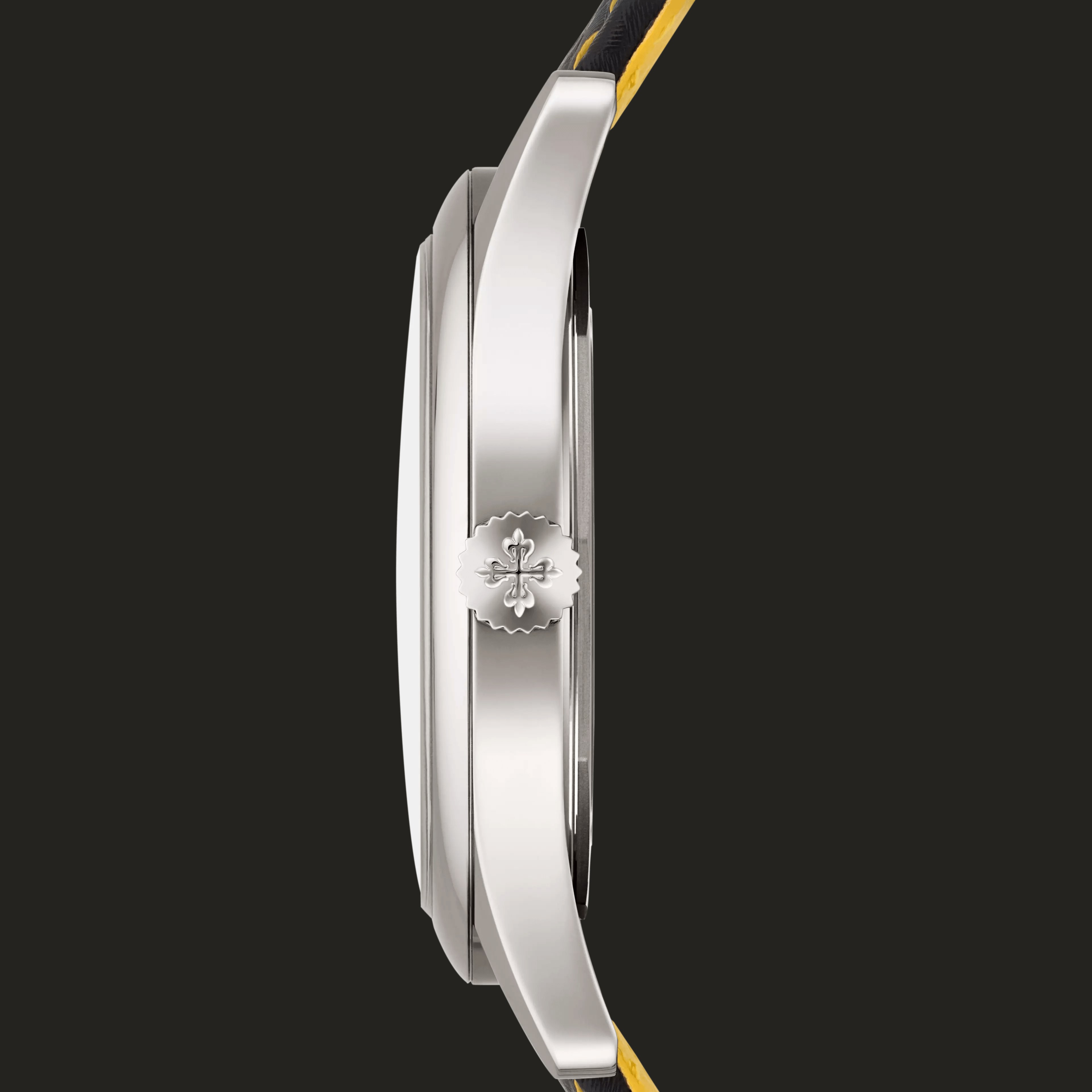 Patek Philippe 6007G-001: profilo laterale.