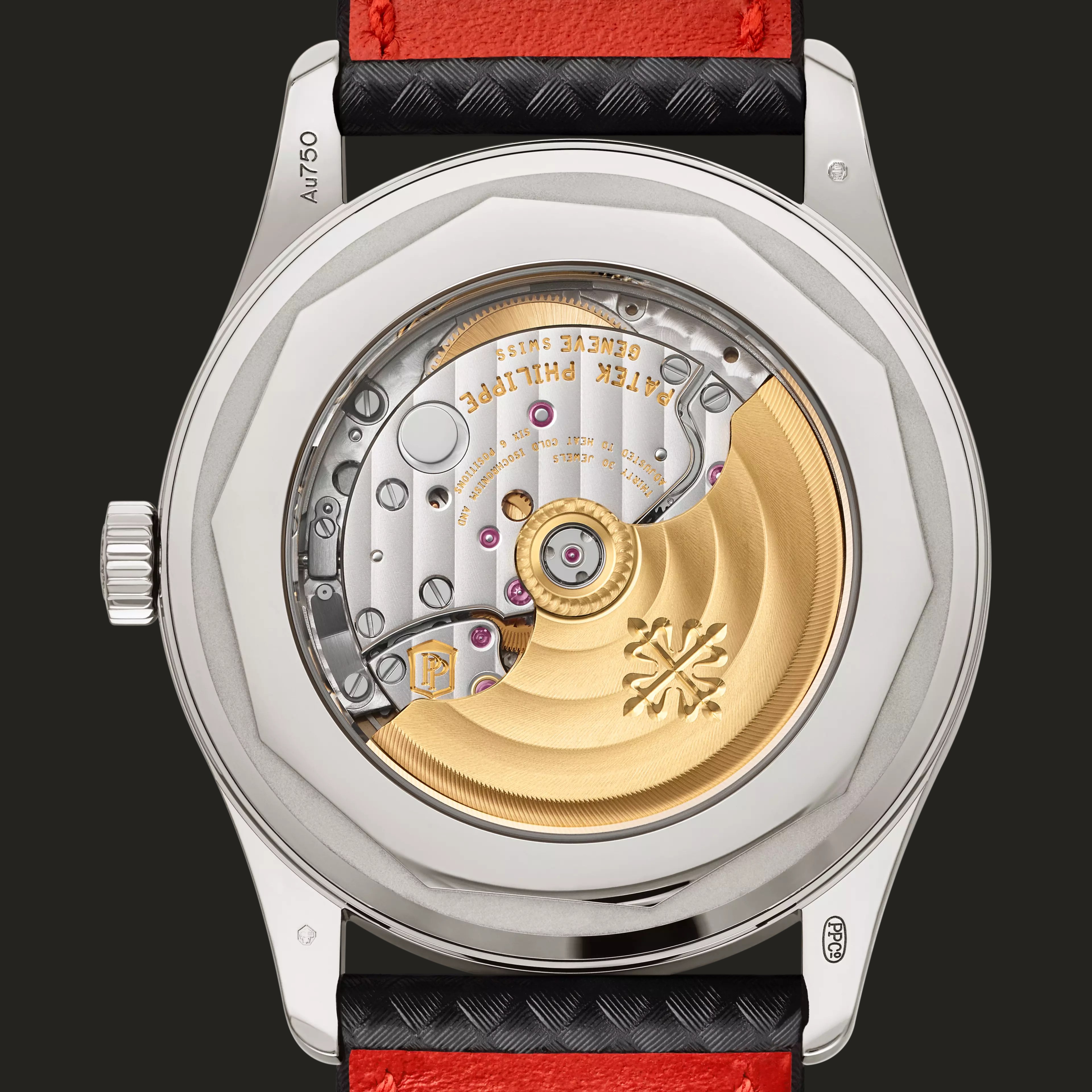 Patek Philippe 6007G-010: fondello.