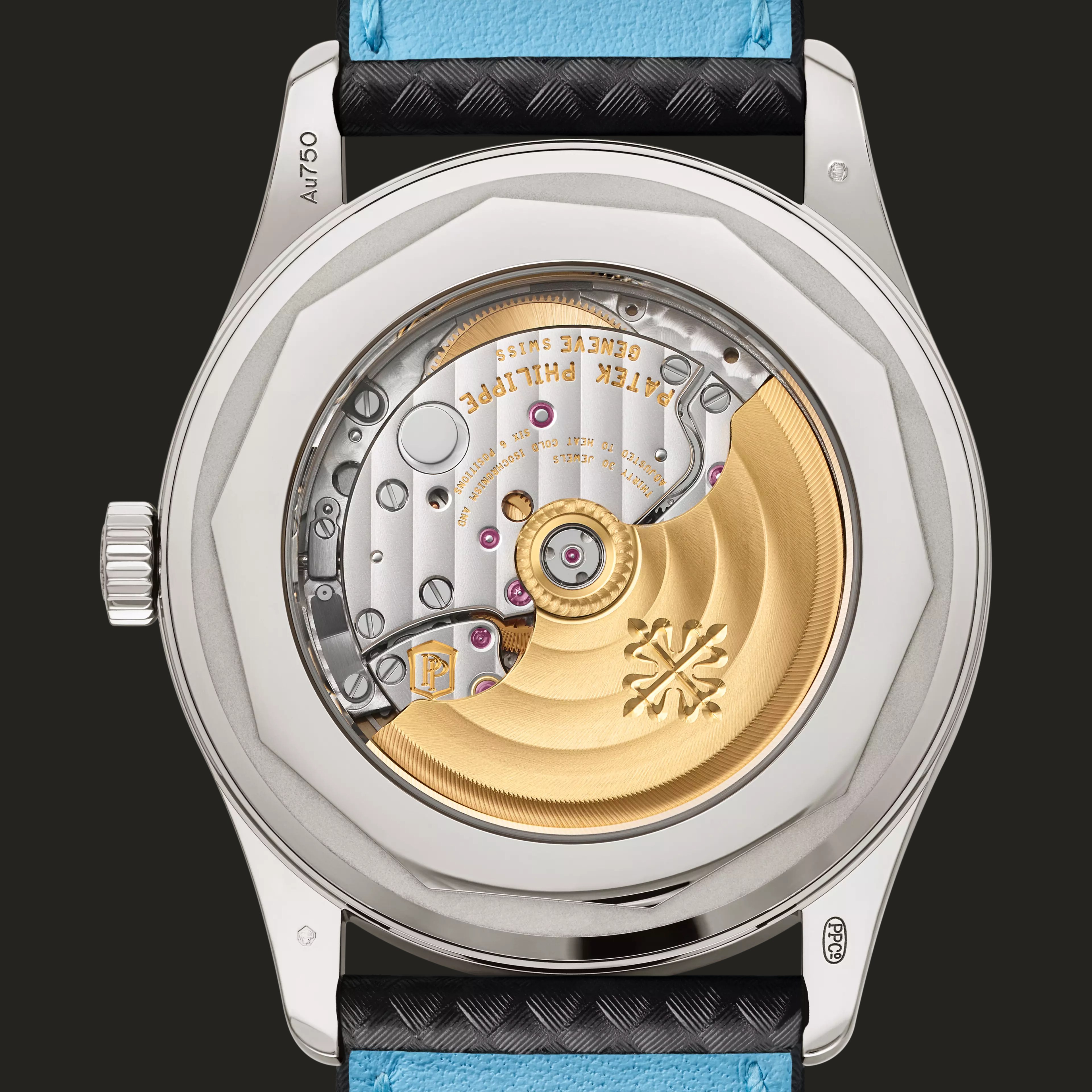 Patek Philippe 6007G-011: fondello.