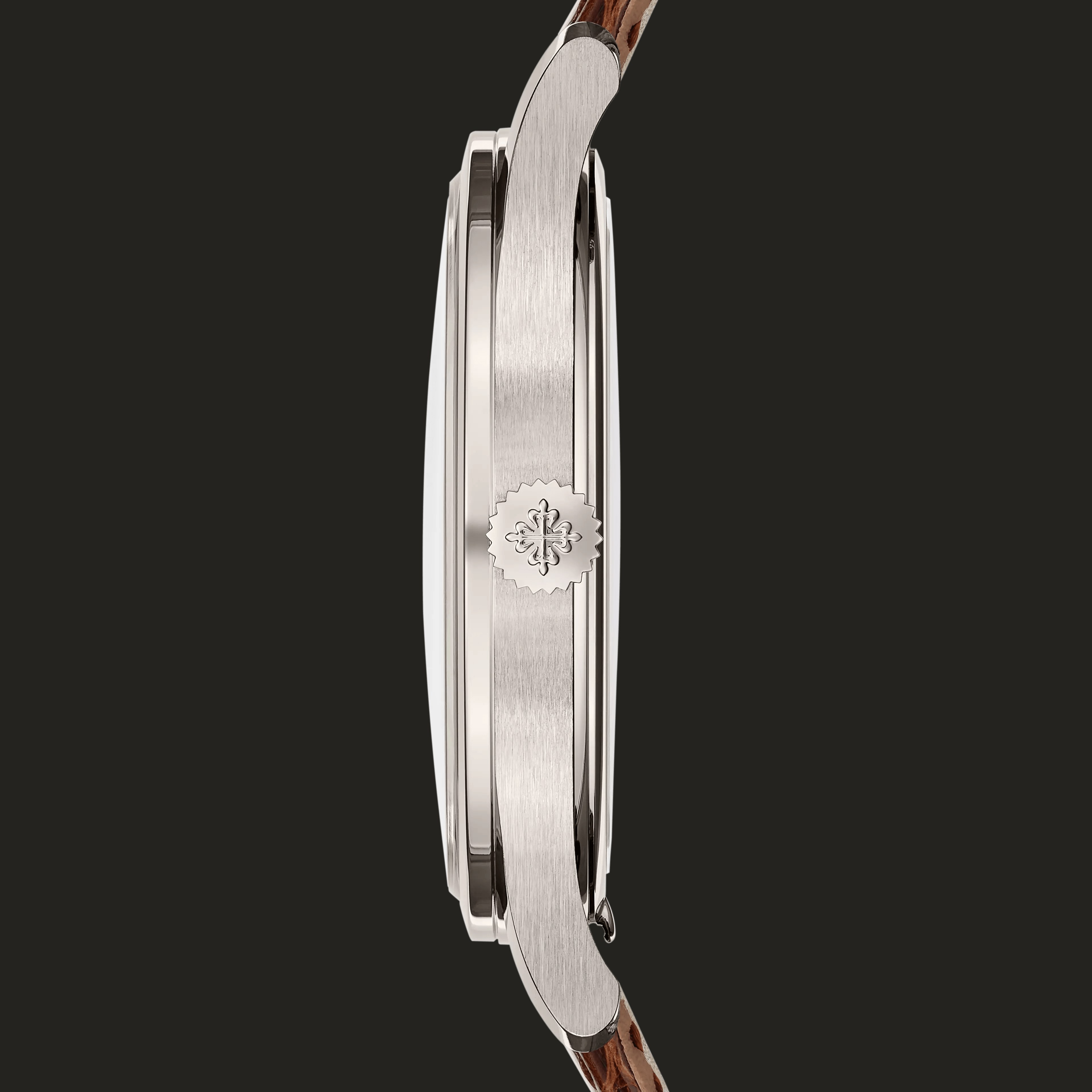 Patek Philippe 6196P-001: profilo laterale.