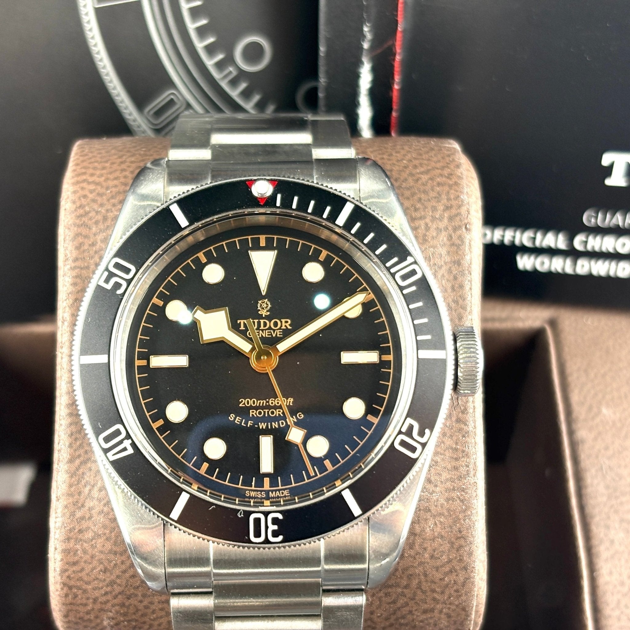 Tudor Heritage Black Bay 79220N, dettaglio del quadrante