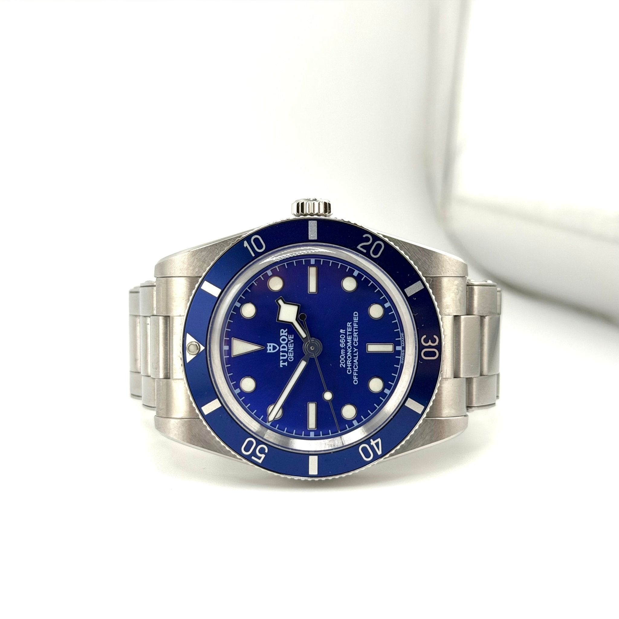 Tudor Black Bay 54 79000B, vista 1