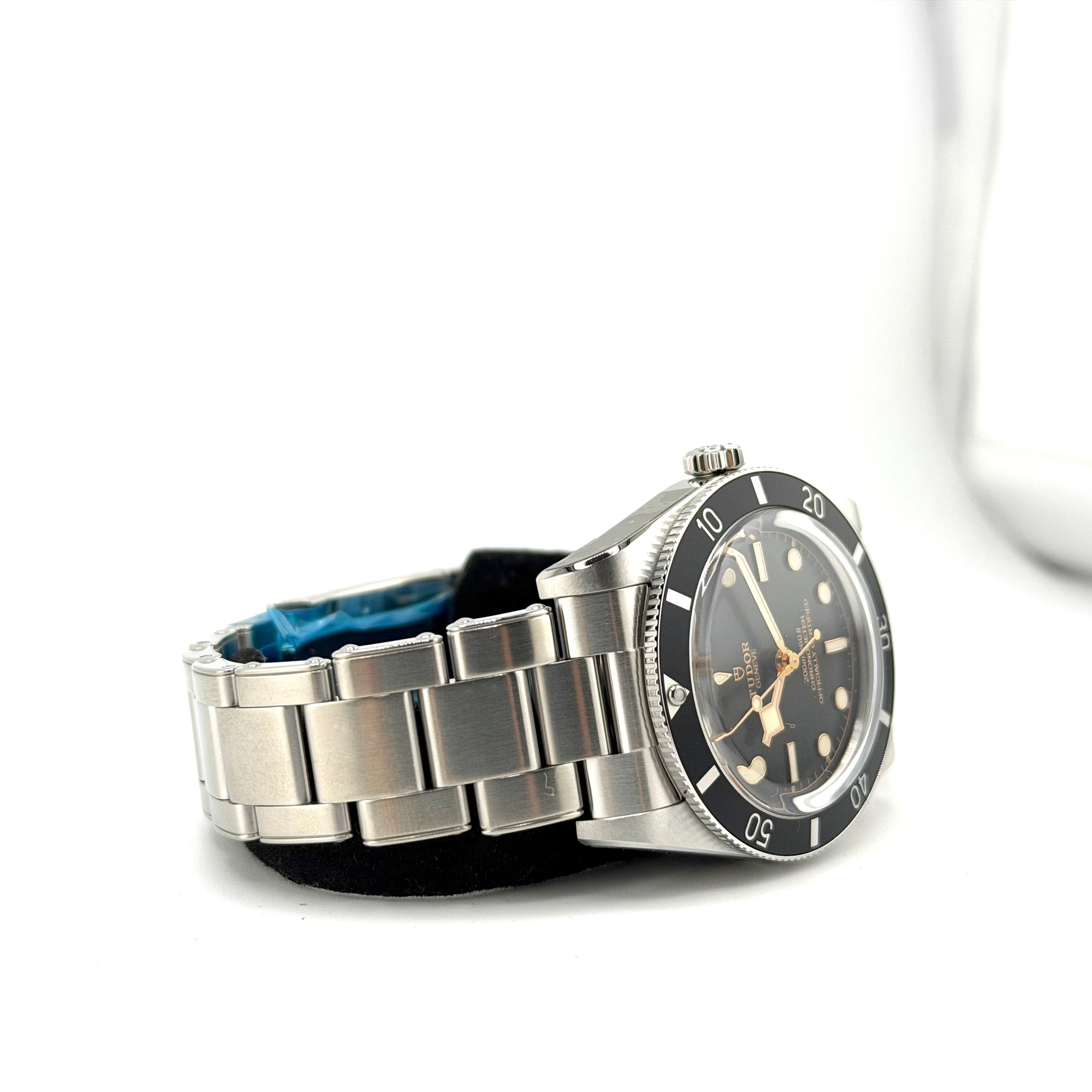 Tudor Black Bay 54 79000N, vista 2