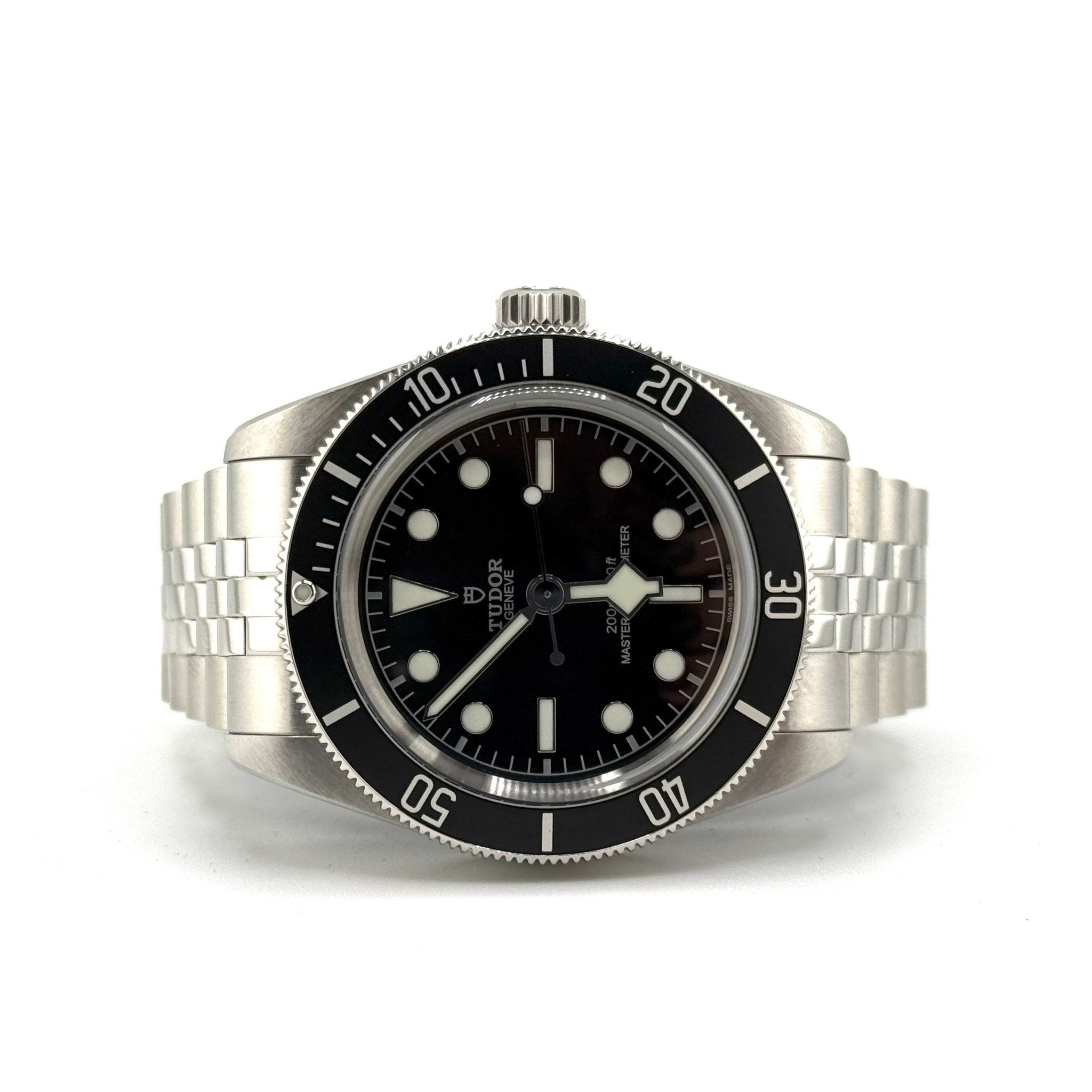 Tudor Black Bay 7941A1A0NU, vista 1