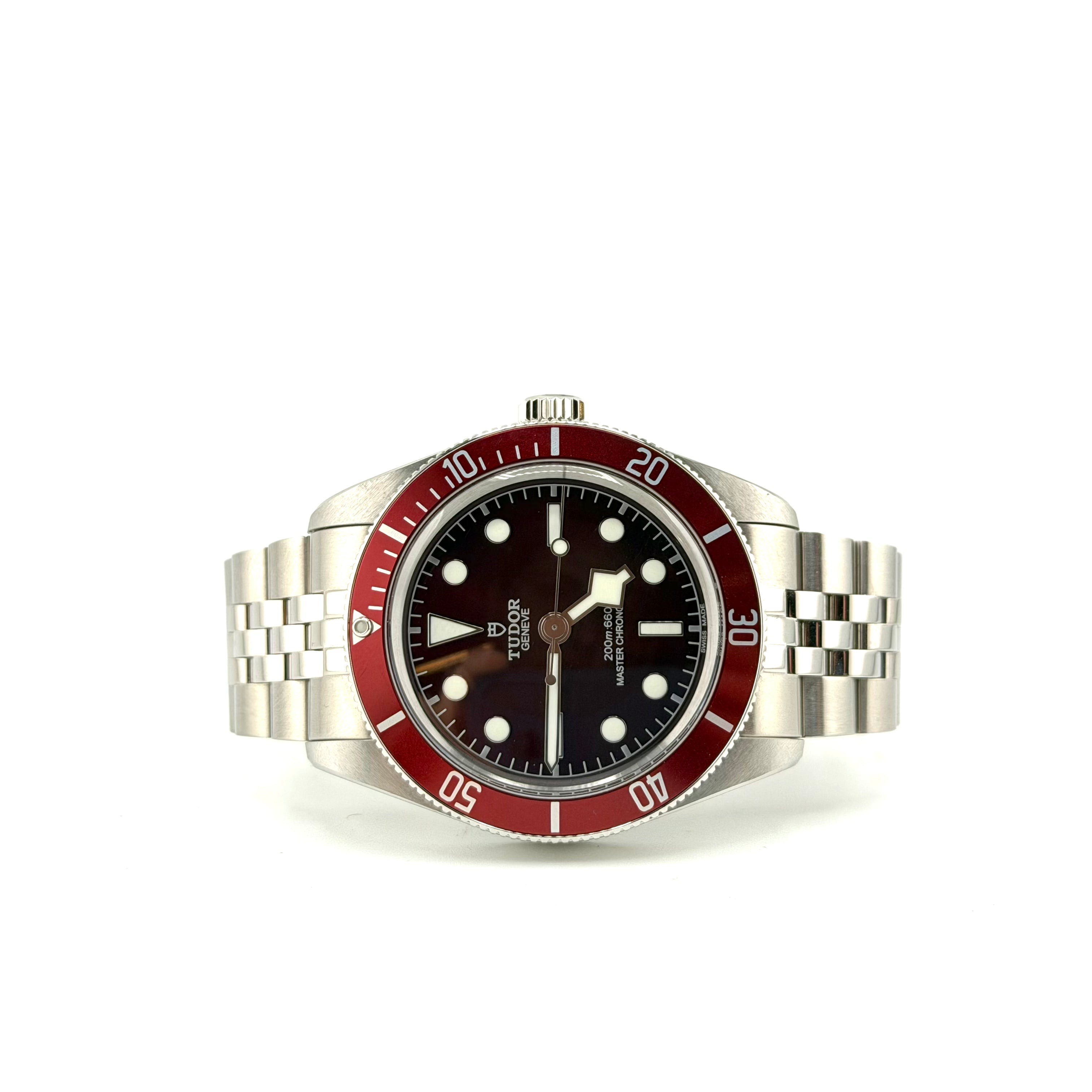 Tudor Black Bay 7941A1A0RU, vista 1