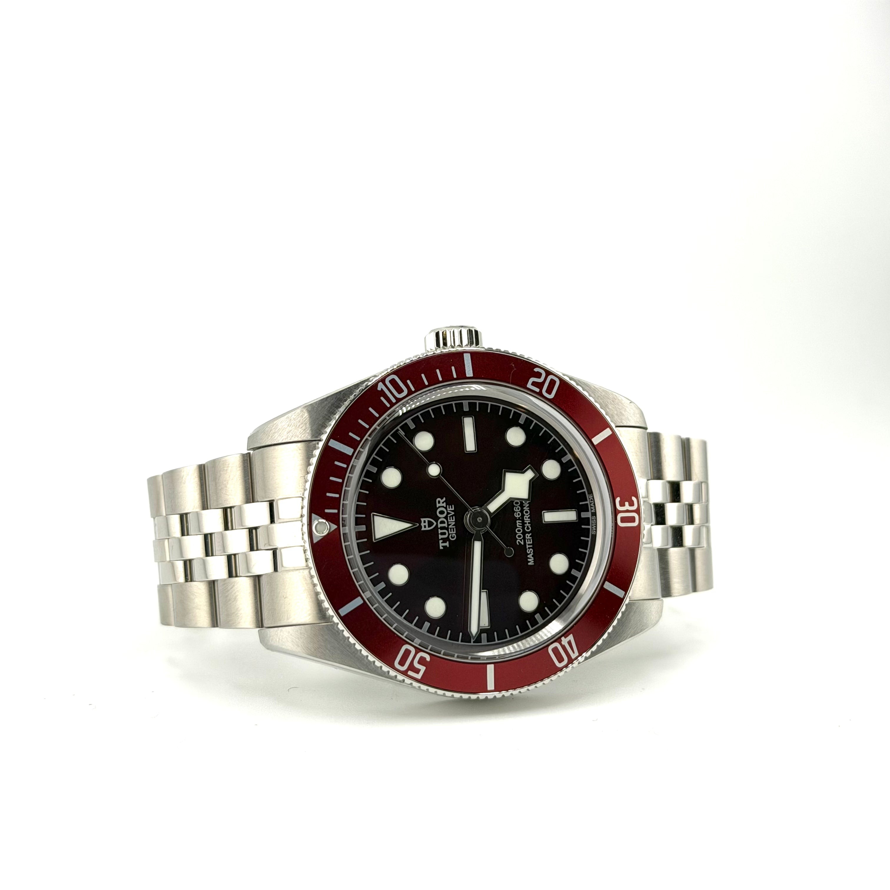 Tudor Black Bay 7941A1A0RU, vista 2