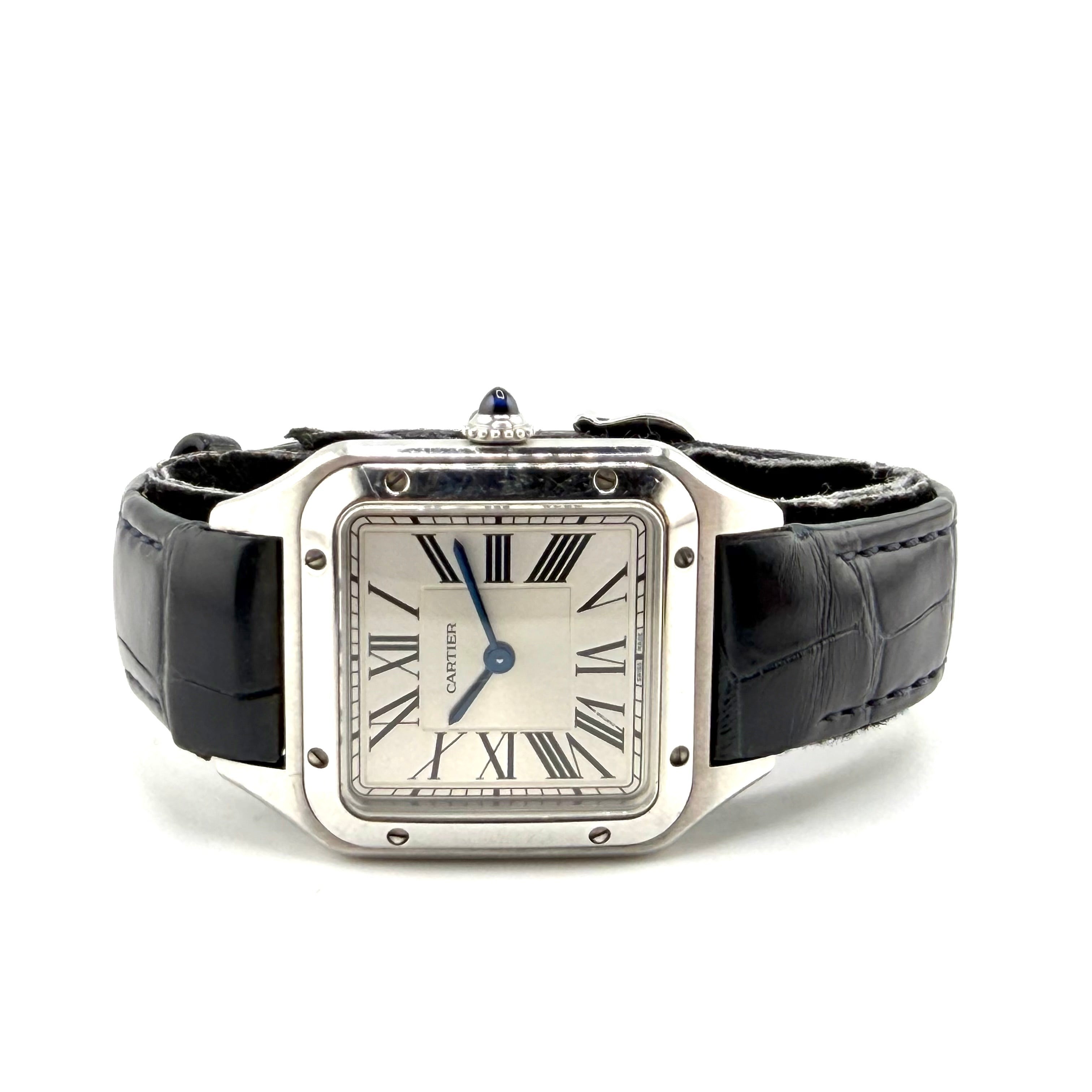 Cartier Santos-Dumont WSSA0023, vista 1