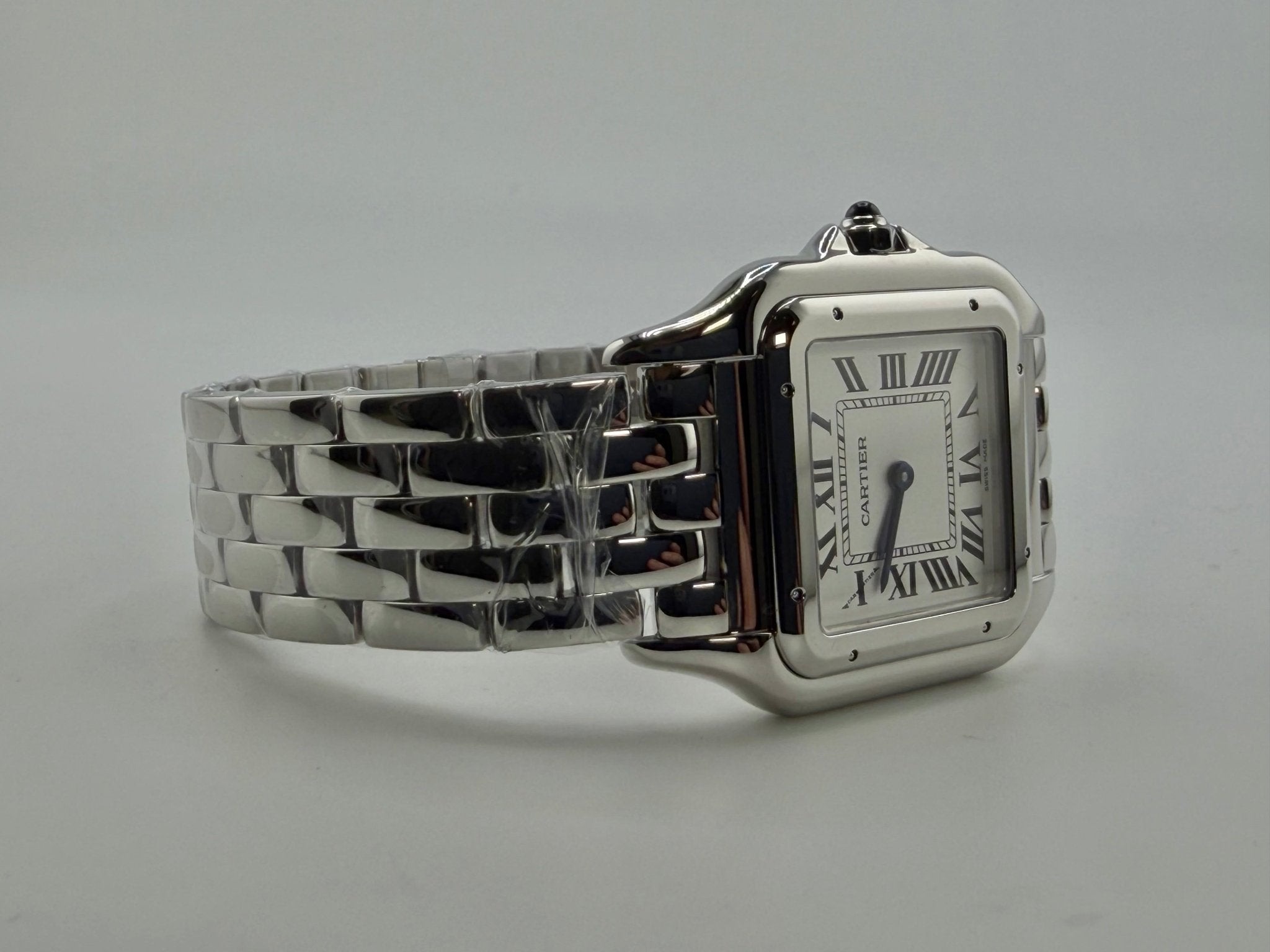 Cartier WSPN0016, vista