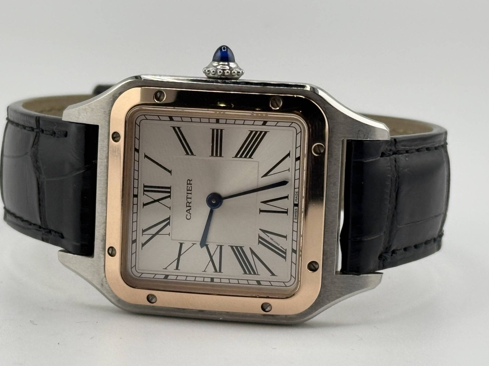 Cartier WSSA0022, vista