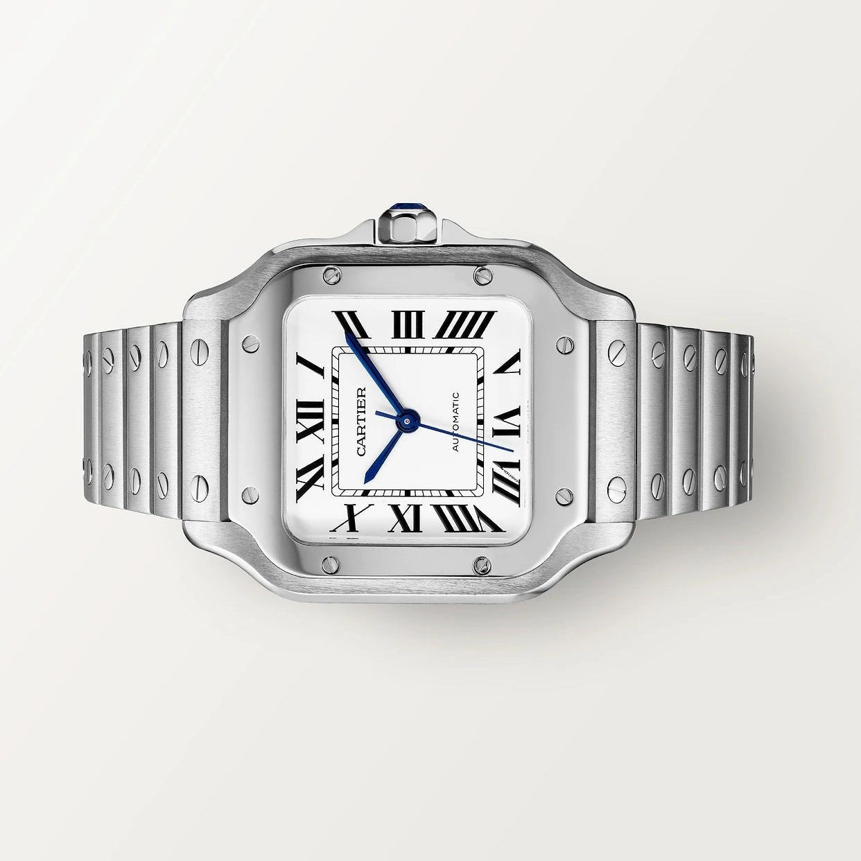Cartier WSSA0029, vista