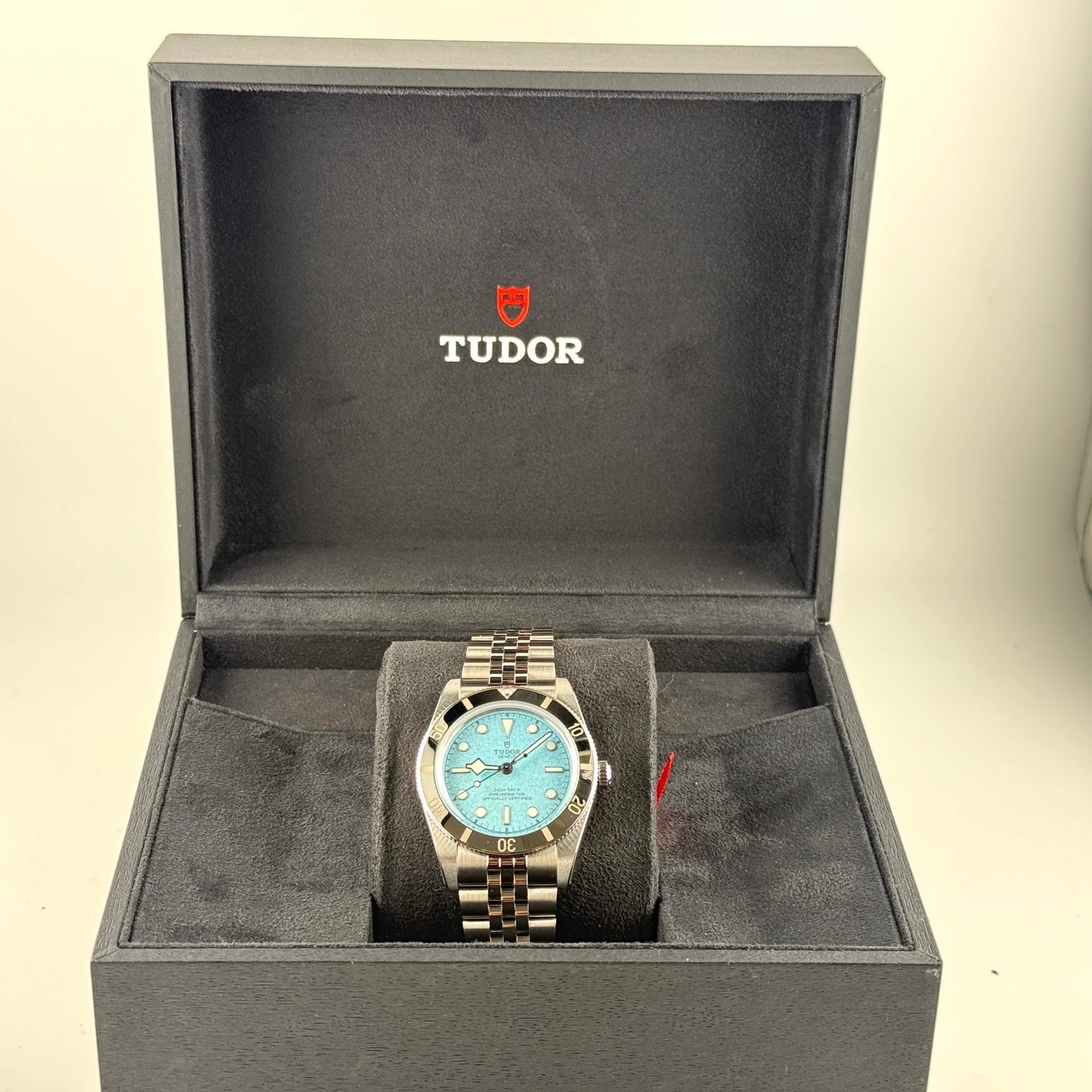 Tudor Black Bay 54 79000, profilo della cassa